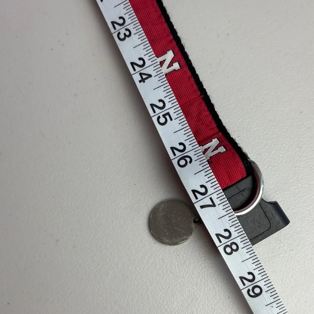 Nebraska Go Big Red Dog Collar with Nebraska N Football Logo Charm